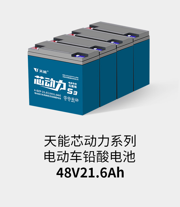 J9集团国际站电池48v20ah