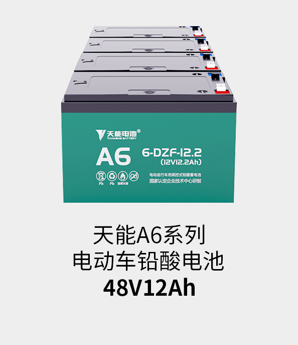 J9集团国际站电池48v12ah