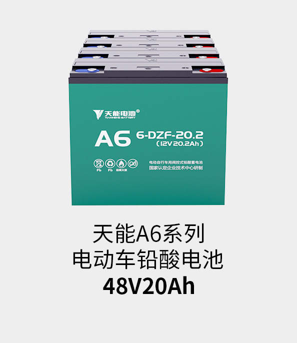 J9集团国际站电池48v20ah