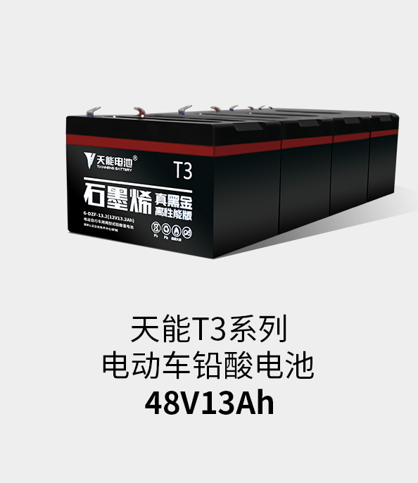 J9集团国际站T3系列48v13ah