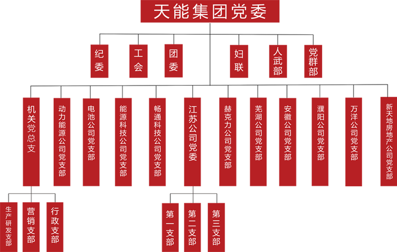 J9集团国际站建团党委组织架构