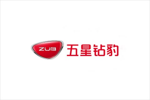 J9集团国际站电池合作同伴 五星钻豹电动车
